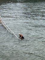 Con 5 minutos de ejercicio al día se puede reducir el riesgo de muerte!